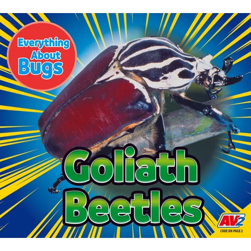 Goliath Beetles - Paperback
