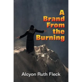 A Brand From the Burning - Paperback