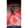 A Field Guide to Marine Life of the Protected Waters of the Salish Sea - Paperback