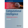Computational Intelligence: A Methodological Introduction - Paperback