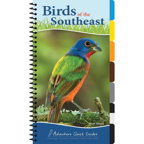 Birds of the Southeast: Your Way to Easily Identify Backyard Birds - Spiral