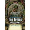 A View of the American Indians: Their General Character, Customs, Language, Public Festivals, Religious Rites, and Traditions: Shewing Them to be the - Paperback