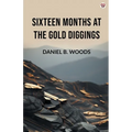 Sixteen Months At The Gold Diggings - Paperback