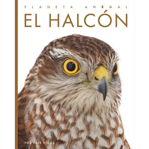 El Halcón - Paperback