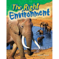 The Right Environment - Paperback