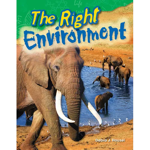 The Right Environment - Paperback