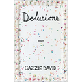 Delusions: Of Grandeur, of Romance, of Progress - Hardcover
