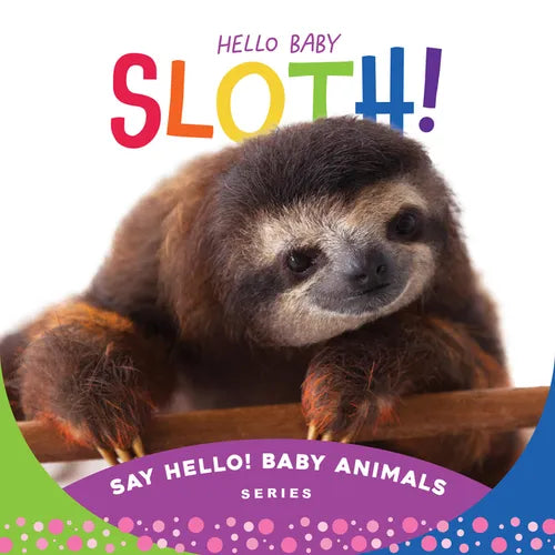 Hello Baby Sloth! - Board Book