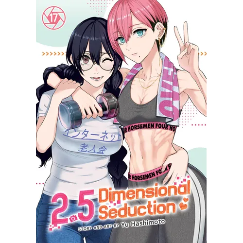 2.5 Dimensional Seduction Vol. 17 - Paperback