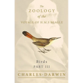 Birds - Part III - The Zoology of the Voyage of H.M.S Beagle; Under the Command of Captain Fitzroy - During the Years 1832 to 1836 - Paperback