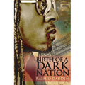Birth of a Dark Nation - Paperback
