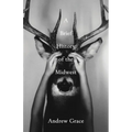 A Brief History of the Midwest - Paperback