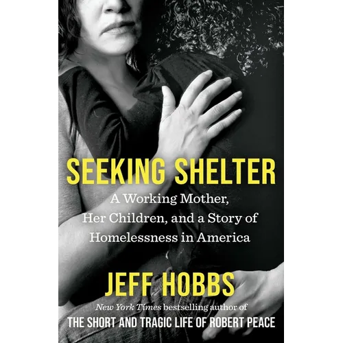 Seeking Shelter: A Working Mother, Her Children, and a Story of Homelessness in America - Paperback