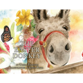 The Easter Donkey - Paperback