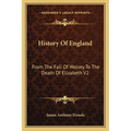 History Of England: From The Fall Of Wolsey To The Death Of Elizabeth V2: Reign Of Elizabeth - Paperback