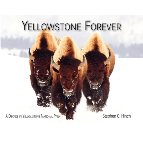 Yellowstone Forever: A Decade in Yellowstone National Park - Paperback