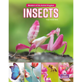 Insects - Paperback