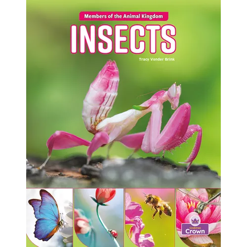 Insects - Paperback