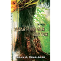 Roadmap to High Galdr Rune Work: A Consolidated Study Guide - Paperback