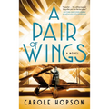 A Pair of Wings - Paperback
