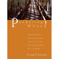 Pondering What? - Paperback