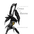 In the Company of Crows and Ravens - Paperback