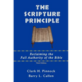 The Scripture Principle - Paperback