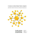 A Guide to United States Patent Litigation - Paperback