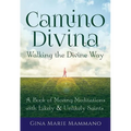 Camino Divina--Walking the Divine Way: A Book of Moving Meditations with Likely and Unlikely Saints - Paperback