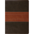 Study Bible-ESV-Trail Design - Imitation Leather