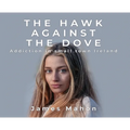 The Hawk Against The Dove: Addiction in Small-Town Ireland - Hardcover