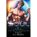 Soul [Gay Sci Fi Soulmates] - Paperback