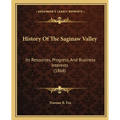 History Of The Saginaw Valley: Its Resources, Progress, And Business Interests (1868) - Paperback