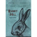Rabbit Hill (Puffin Modern Classics) - Paperback