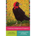 Creating Indigenous Property: Power, Rights, and Relationships - Paperback