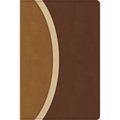 CSB Rainbow Study Bible, Brown Leathertouch (Limited Edition) - Imitation Leather