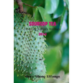 Soursop Tea: Unveiling Nature's Wellness 2024: "Embrace the tangy and refreshing goodness of soursop leaf tea - the perfect blend o - Paperback