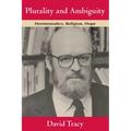 Plurality and Ambiguity: Hermeneutics, Religion, Hope - Paperback