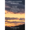 I Asked God a Question He Answered: Visions from God - Paperback