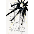 Into the Sun - Paperback