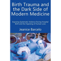 Birth Trauma and the Dark Side of Modern Medicine: Exposing Systematic Violence During Hospital Birth and the Hijacking of Human Love - Paperback