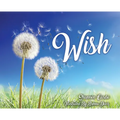 Wish - Hardcover