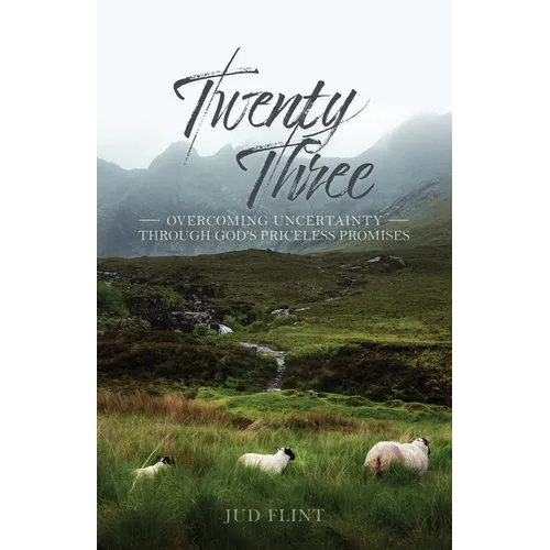 Twenty-Three: Overcoming Uncertainty Through God's Priceless Promises - Paperback