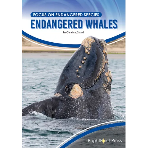Endangered Whales - Hardcover