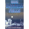 When Darkness Falls: Tales of San Antonio Ghosts and Hauntings - Paperback