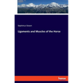 Ligaments and Muscles of the Horse - Paperback
