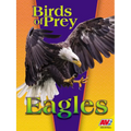 Eagles - Paperback