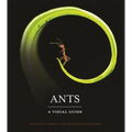 Ants: A Visual Guide - Hardcover