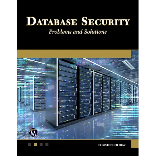 Database Security: Problems and Solutions - Paperback