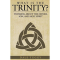 What is the Trinity?: Thinking about the Father, Son, and Holy Spirit - Paperback